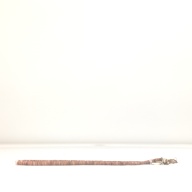 W:1.1 (cm)×D:37 (cm)×H:1.3 (cm)／121 (g)，Measurement date:1996-05-21