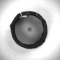 幅：9.0 (cm)×奥行：8.7 (cm)×高さ：3.7 (cm)／21 (g)，撮影・計測日：1993-11-15