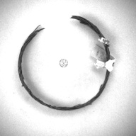 W:0.2 (cm)×D:9.1 (cm)×H:1.1 (cm)／3 (g)，Measurement date:1996-12-13