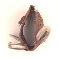 幅：7.7 (cm)×奥行：8.8 (cm)×高さ：7.6 (cm)／64 (g)，撮影・計測日：2001-07-25