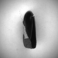 幅：7.1 (cm)×奥行：11 (cm)×高さ：7.0 (cm)／9 (g)，撮影・計測日：1993-11-15