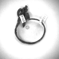 幅：0.5 (cm)×奥行：9.4 (cm)×高さ：0.8 (cm)／10 (g)，撮影・計測日：1996-12-17