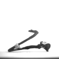 幅：1.0 (cm)×奥行：7.3 (cm)×高さ：1.3 (cm)／5 (g)，撮影・計測日：1996-12-17