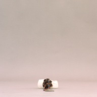 幅：8.3 (cm)×奥行：30 (cm)×高さ：3.7 (cm)／137 (g)，撮影・計測日：2002-08-02