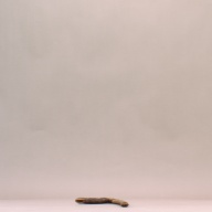 W:17 (cm)×D:54 (cm)×H:0.7 (cm)／162 (g)，Measurement date:2002-07-31