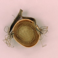 幅：19 (cm)×奥行：19 (cm)×高さ：8.8 (cm)／96 (g)，撮影・計測日：2002-08-06