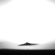 W:11 (cm)×D:22 (cm)×H:0.7 (cm)／7 (g)，Measurement date:1993-11-19