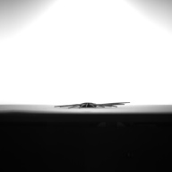 Measurement date:1993-11-19