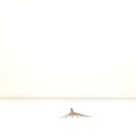 幅：13 (cm)×奥行：41 (cm)×高さ：2.3 (cm)／6 (g)，撮影・計測日：1994-09-30