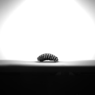 幅：5.4 (cm)×奥行：17 (cm)×高さ：1.9 (cm)／22 (g)，撮影・計測日：1993-11-22