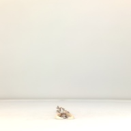 W:7.9 (cm)×D:48 (cm)×H:1.1 (cm)／73 (g)，Measurement date:1996-05-31