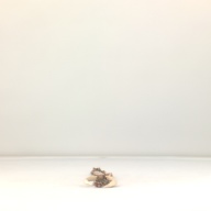 W:9.7 (cm)×D:57 (cm)×H:3.0 (cm)／115 (g)，Measurement date:1996-05-31