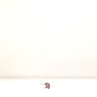 W:1.5 (cm)×D:48 (cm)×H:1.0 (cm)／17 (g)，Measurement date:1996-05-31