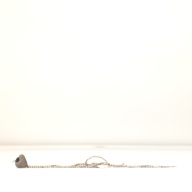 W:4.3 (cm)×D:38 (cm)×H:3.3 (cm)／16 (g)，Measurement date:1996-05-31