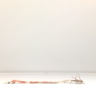 W:6.5 (cm)×D:49 (cm)×H:0.9 (cm)／81 (g)，Measurement date:1996-05-31