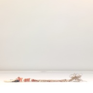 W:5.6 (cm)×D:36 (cm)×H:1.7 (cm)／70 (g)，Measurement date:1996-05-31