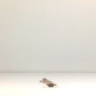 W:8.3 (cm)×D:48 (cm)×H:2.6 (cm)／95 (g)，Measurement date:1996-05-31