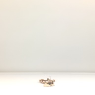 幅：4.9 (cm)×奥行：40 (cm)×高さ：1.2 (cm)／65 (g)，撮影・計測日：1996-06-03