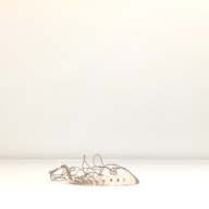 幅：2.2 (cm)×奥行：23 (cm)×高さ：2.1 (cm)／40 (g)，撮影・計測日：1996-06-10