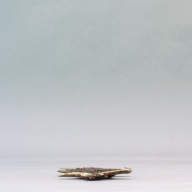 幅：26 (cm)×奥行：13 (cm)×高さ：1.9 (cm)／135 (g)，撮影・計測日：2003-10-28