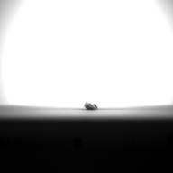 W:10 (cm)×D:0.8 (cm)×H:0.7 (cm)／9 (g)，Measurement date:1993-11-26