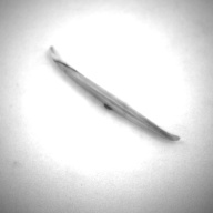 W:11 (cm)×D:0.8 (cm)×H:0.7 (cm)／10 (g)，Measurement date:1993-11-26