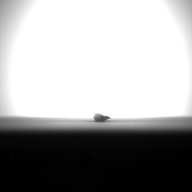 W:11 (cm)×D:0.8 (cm)×H:0.7 (cm)／10 (g)，Measurement date:1993-11-26