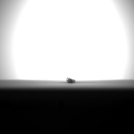 W:13 (cm)×D:0.8 (cm)×H:0.8 (cm)／11 (g)，Measurement date:1993-11-26