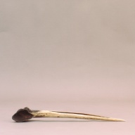 W:9.1 (cm)×D:38 (cm)×H:4.3 (cm)／227 (g)，Measurement date:2002-08-08