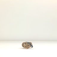 W:4.1 (cm)×D:17 (cm)×H:1.8 (cm)／262 (g)，Measurement date:1996-08-05