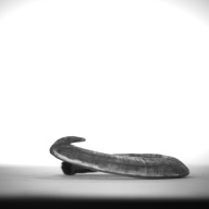 W:9.2 (cm)×D:10 (cm)×H:2.3 (cm)／49 (g)，Measurement date:1993-11-26