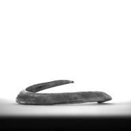 W:9.2 (cm)×D:10 (cm)×H:2.3 (cm)／49 (g)，Measurement date:1993-11-26