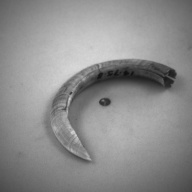 W:6.1 (cm)×D:11 (cm)×H:2.0 (cm)／30 (g)，Measurement date:1993-11-29