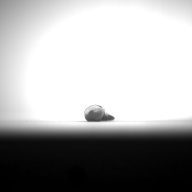 W:7.4 (cm)×D:1.5 (cm)×H:0.9 (cm)／8 (g)，Measurement date:1993-11-29