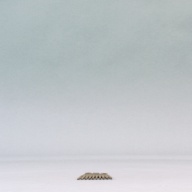 幅：5.0 (cm)×奥行：24 (cm)×高さ：0.4 (cm)／43 (g)，撮影・計測日：2003-10-30