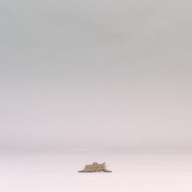 幅：7.3 (cm)×奥行：38 (cm)×高さ：0.6 (cm)／20 (g)，撮影・計測日：2002-09-05