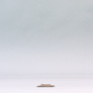 幅：5.3 (cm)×奥行：24 (cm)×高さ：0.3 (cm)／33 (g)，撮影・計測日：2003-10-30