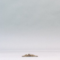 幅：8.5 (cm)×奥行：27 (cm)×高さ：1.0 (cm)／28 (g)，撮影・計測日：2003-10-29