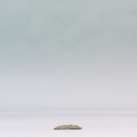 幅：5.4 (cm)×奥行：23 (cm)×高さ：0.3 (cm)／33 (g)，撮影・計測日：2003-10-29