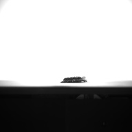 幅：4.5 (cm)×奥行：19 (cm)×高さ：0.7 (cm)／9 (g)，撮影・計測日：1993-11-30