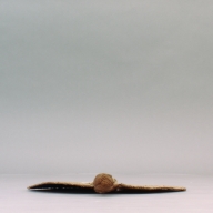 W:39 (cm)×D:44 (cm)×H:5.2 (cm)／140 (g)，Measurement date:2002-09-06