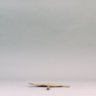 幅：23 (cm)×奥行：48 (cm)×高さ：1.9 (cm)／31 (g)，撮影・計測日：2002-09-06