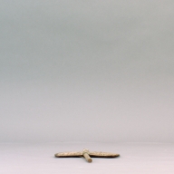 幅：18 (cm)×奥行：41 (cm)×高さ：2.0 (cm)／48 (g)，撮影・計測日：2002-09-06