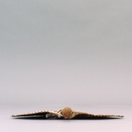 幅：40 (cm)×奥行：40 (cm)×高さ：4.7 (cm)／81 (g)，撮影・計測日：2002-09-09