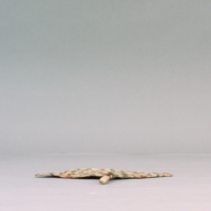 W:25 (cm)×D:35 (cm)×H:1.4 (cm)／34 (g)，Measurement date:2002-09-09