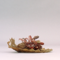 W:30 (cm)×D:27 (cm)×H:10 (cm)／41 (g)，Measurement date:2002-09-09