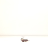 幅：29 (cm)×奥行：5.8 (cm)×高さ：1.9 (cm)／42 (g)，撮影・計測日：1996-06-04