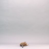 W:16 (cm)×D:73 (cm)×H:6.7 (cm)／189 (g)，Measurement date:2002-09-09