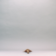 W:6.1 (cm)×D:73 (cm)×H:5.0 (cm)／166 (g)，Measurement date:2002-09-11