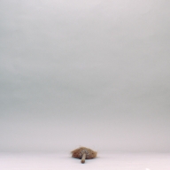 W:12 (cm)×D:69 (cm)×H:6.3 (cm)／162 (g)，Measurement date:2002-09-11